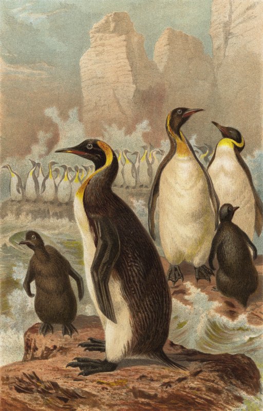 Riesenpinguin von European School