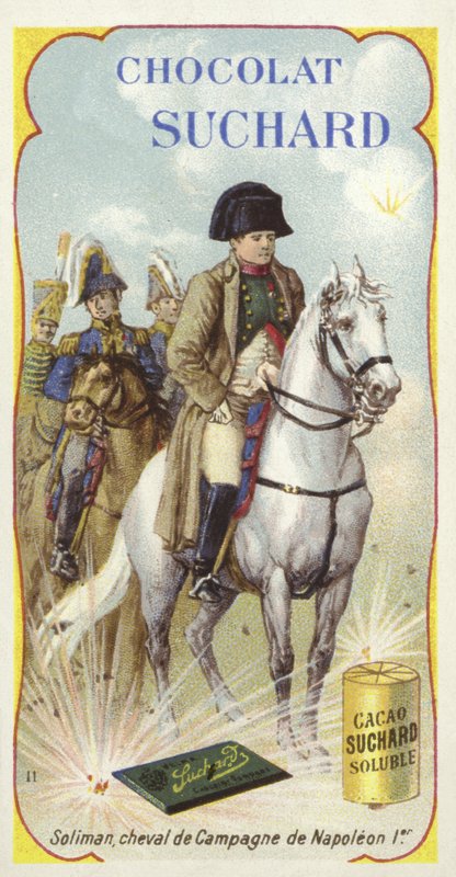 Soliman, Kriegspferd von Napoleon von European School