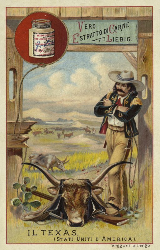 Texas von European School