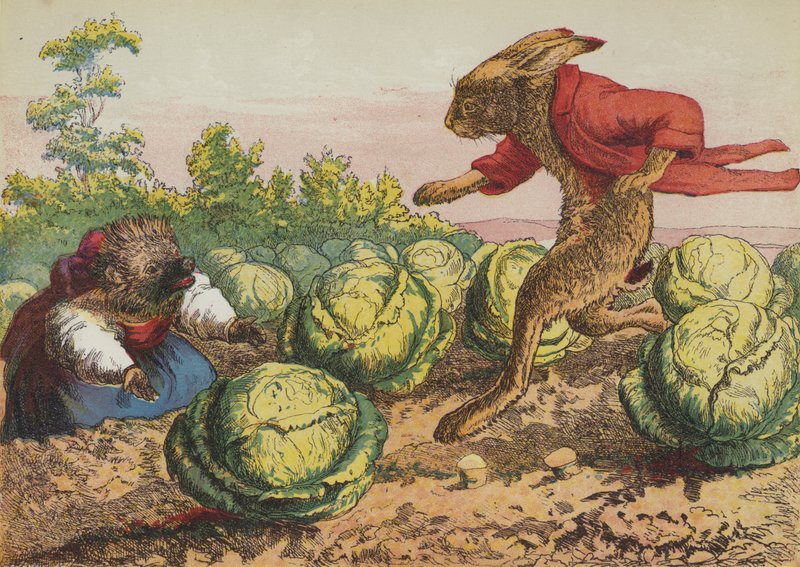 Der Hase und der Igel von European School