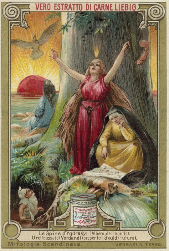 Der Baum Yggdrasil von European School