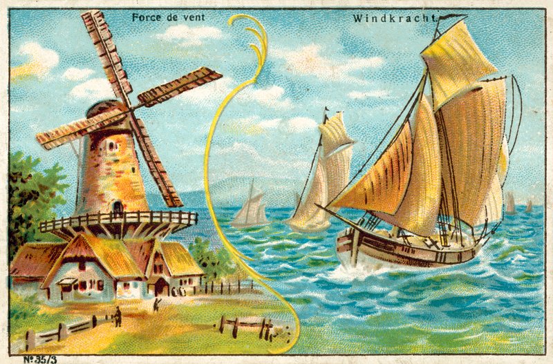 Windkraft von European School
