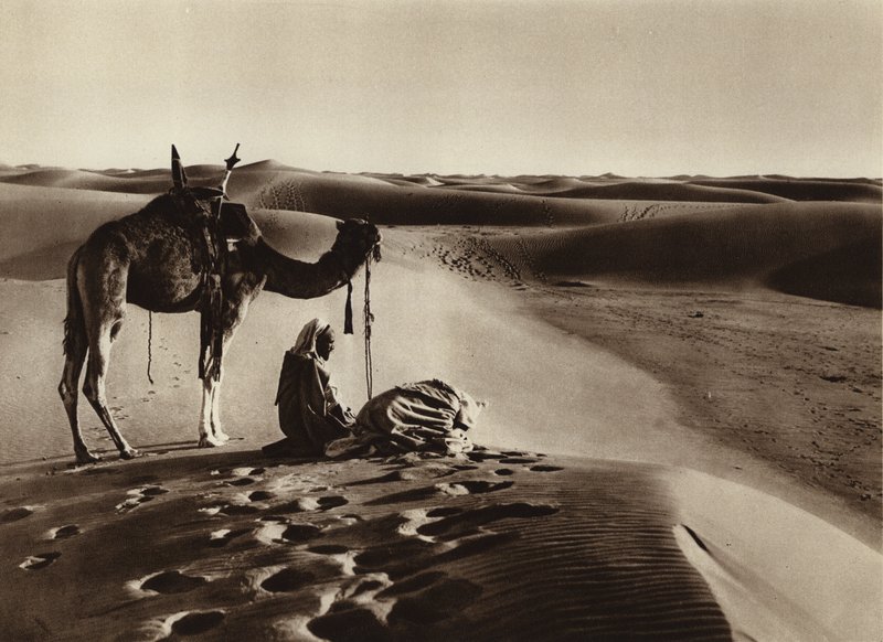 Anbetung in der Wüste von European Photographer