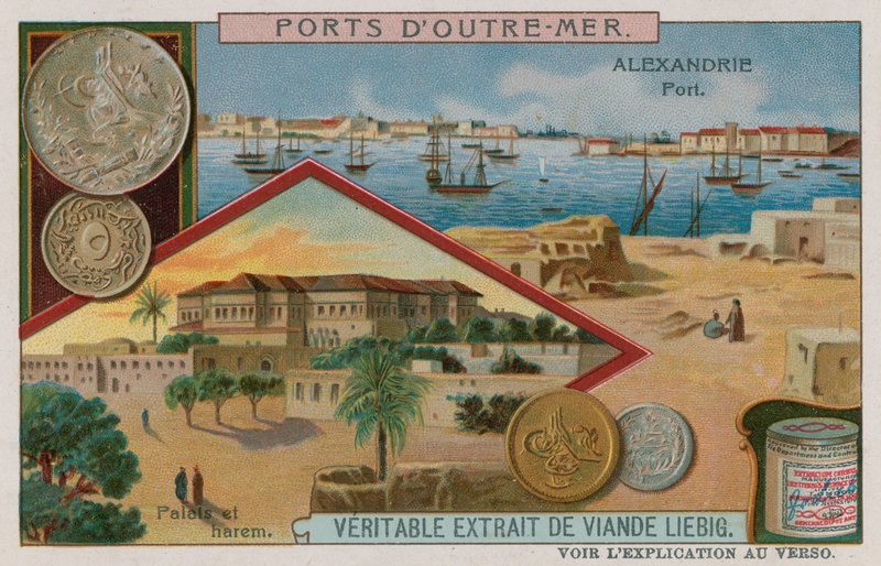 Alexandria von European School
