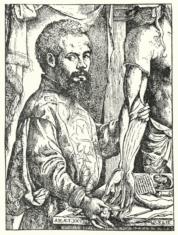 Andreas Vesalius von European School
