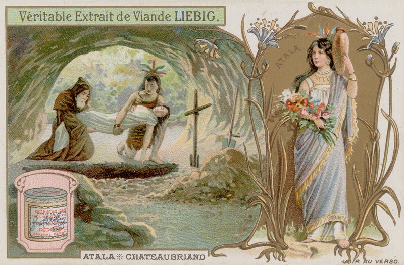 Atala von European School