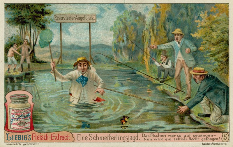 Schmetterlingsjagd und Fischer von European School