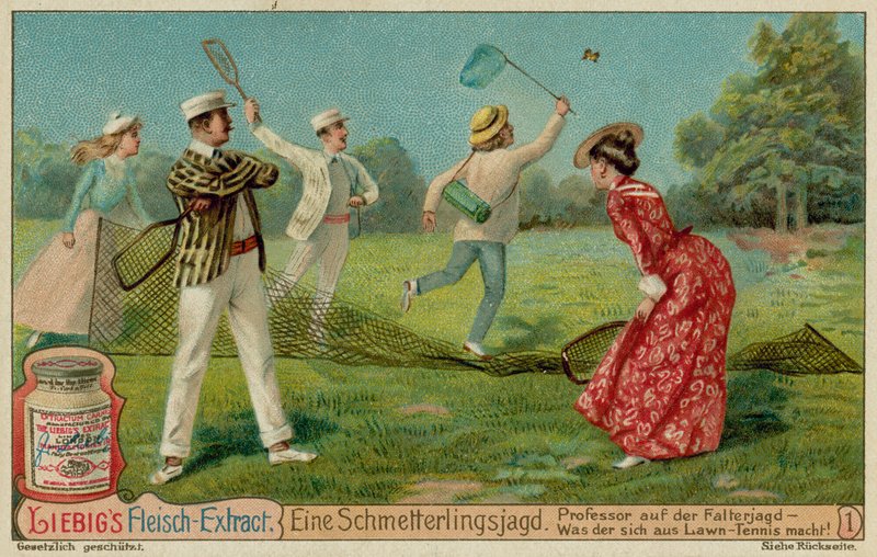 Schmetterlingsjagd und Rasentennis von European School