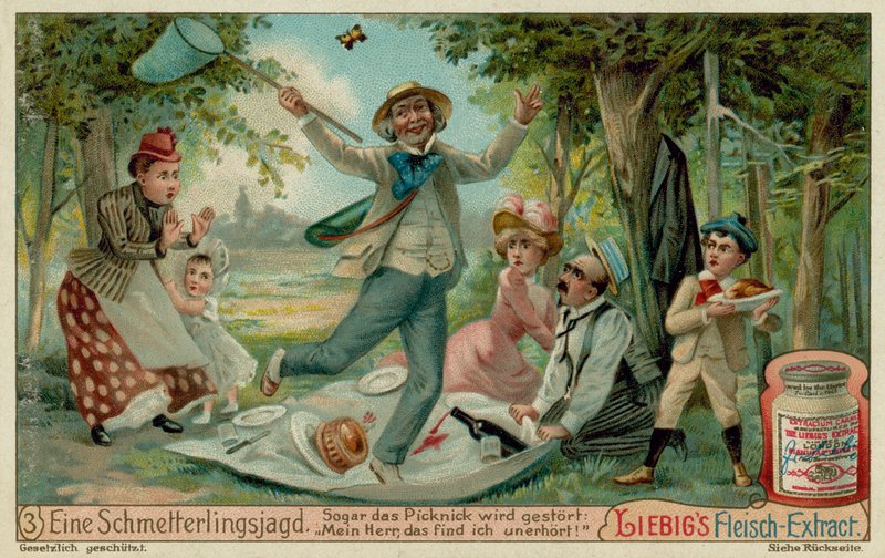 Schmetterlingsjagd und Picknick von European School
