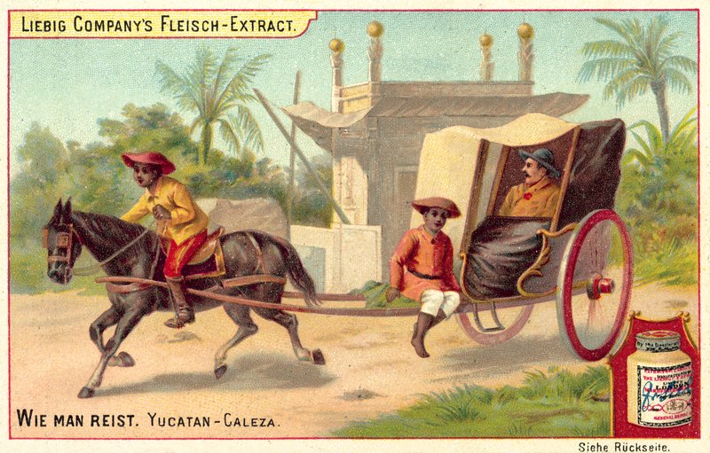 Caleza auf der Halbinsel Yucatán von European School