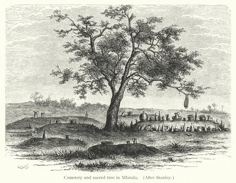 Friedhof und heiliger Baum in Mbinda von European School