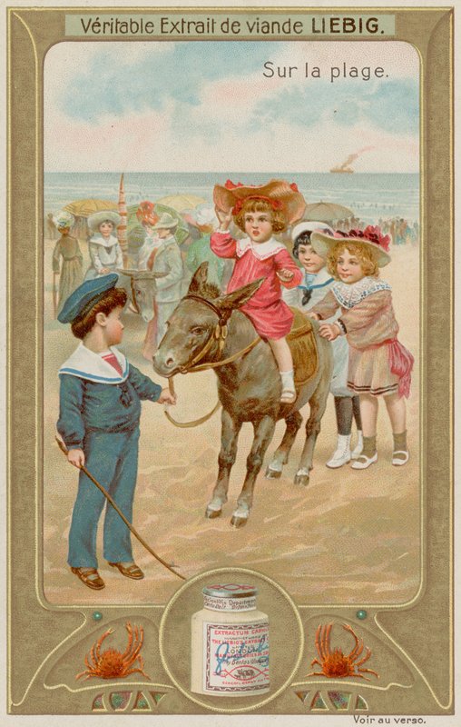 Kinder reiten auf Eseln von European School