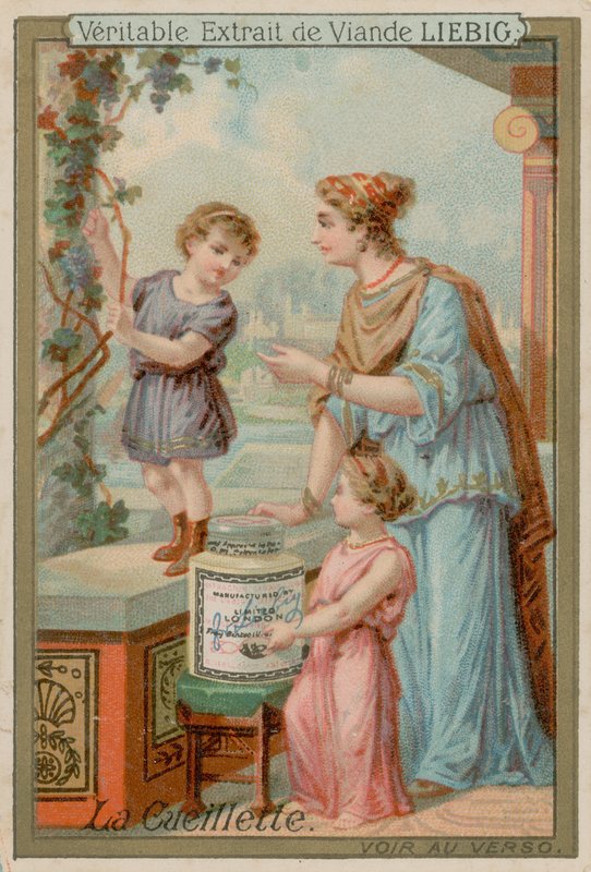 Sammeln von European School