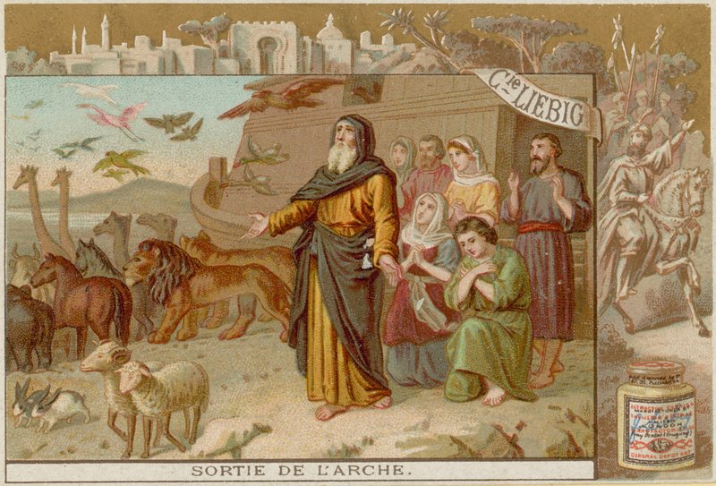 Ausstieg aus der Arche von European School