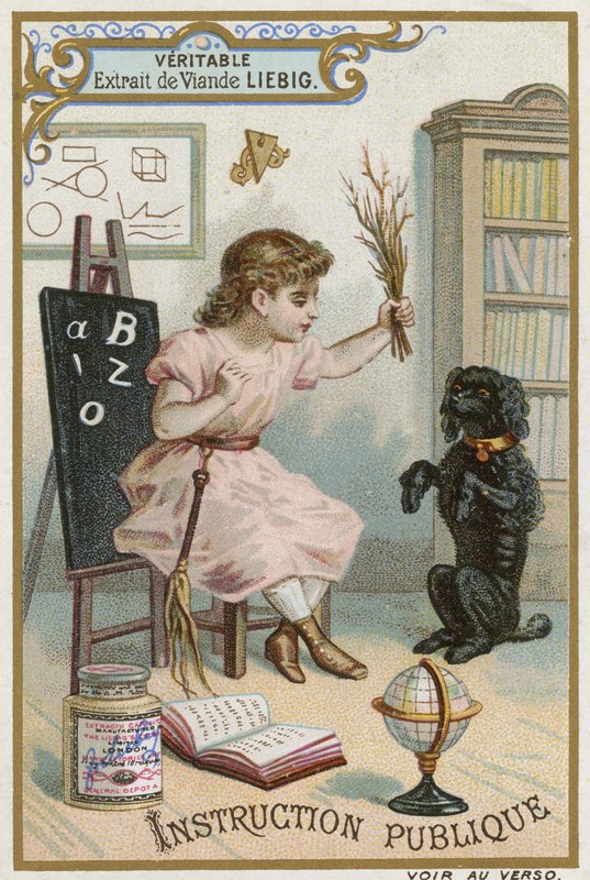 Bildung von European School