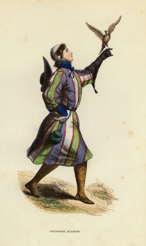 Deutscher Falkner (farbige Gravur) von European School