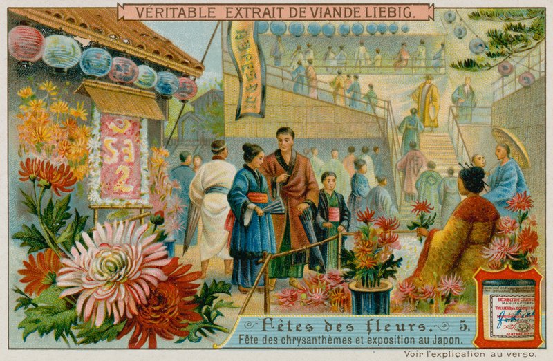 Feste der Chrysanthemen in Japan von European School