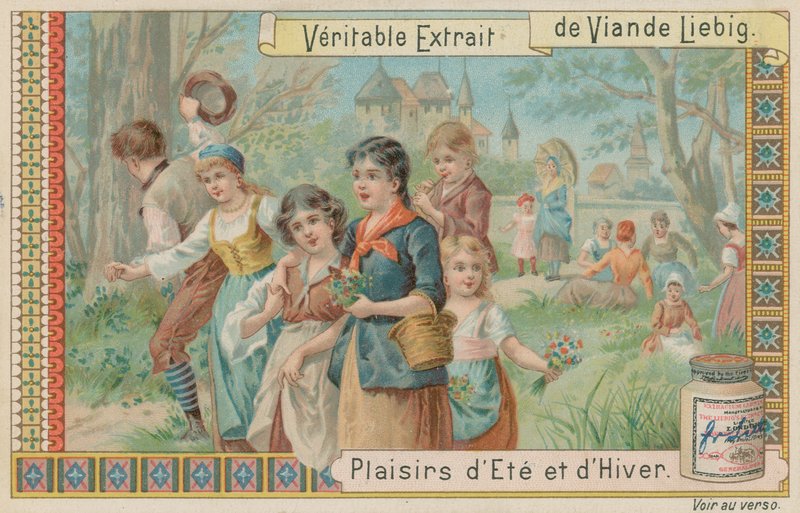 Blumenpflücken von European School
