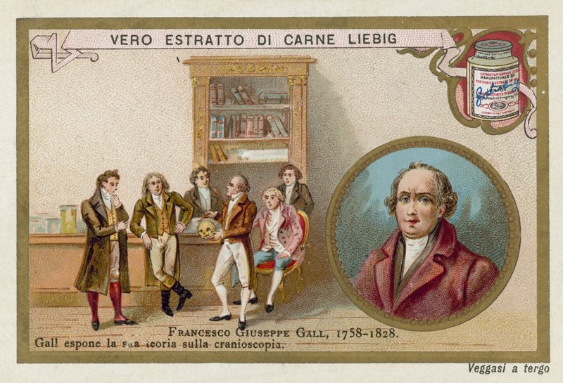 Franz Joseph Gall, deutscher Neuroanatom und Physiologe von European School