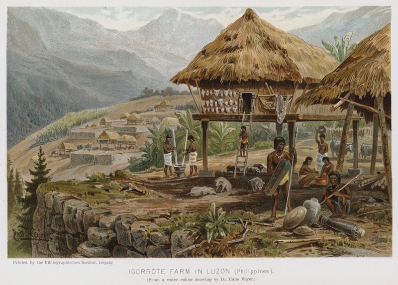 Igorrote-Farm in Luzon, Philippinen von European School