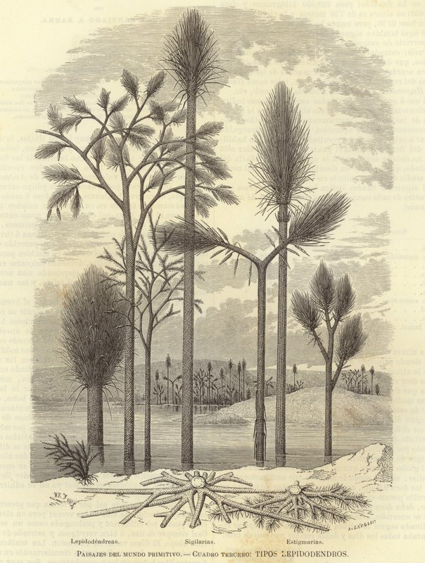 Landschaften der Urzeit von European School
