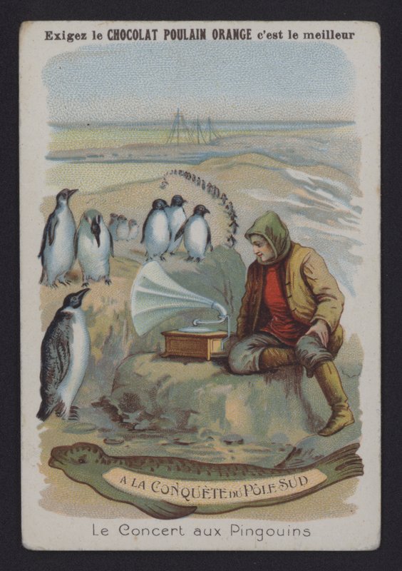 Das Konzert der Pinguine von European School
