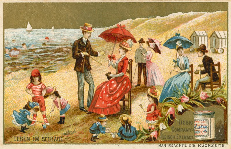 Leben am Meer von European School