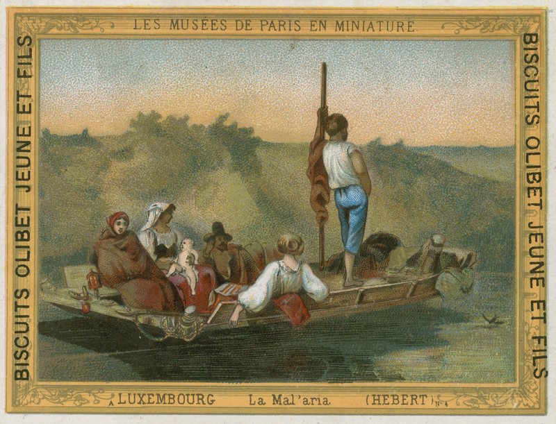 Malaria von European School