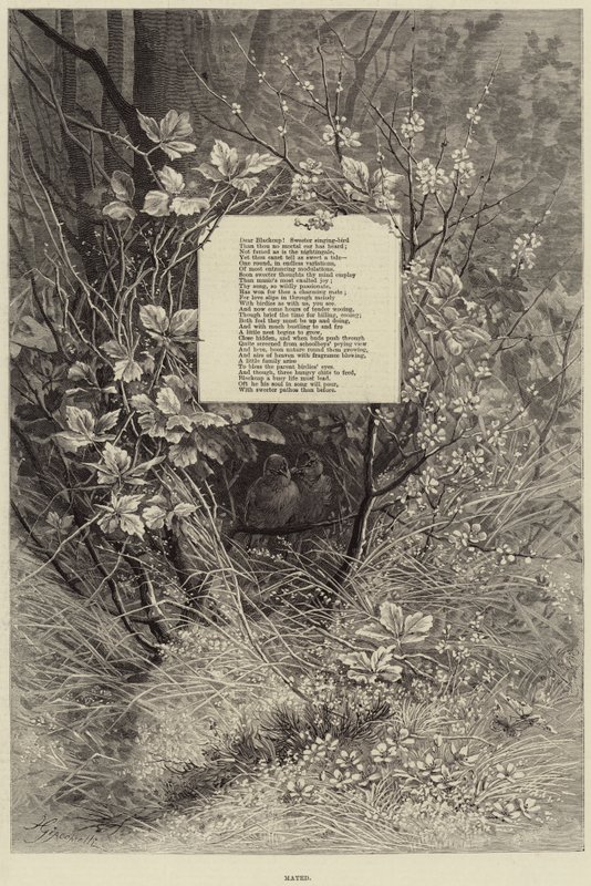 Gepaart (Stich) von European School