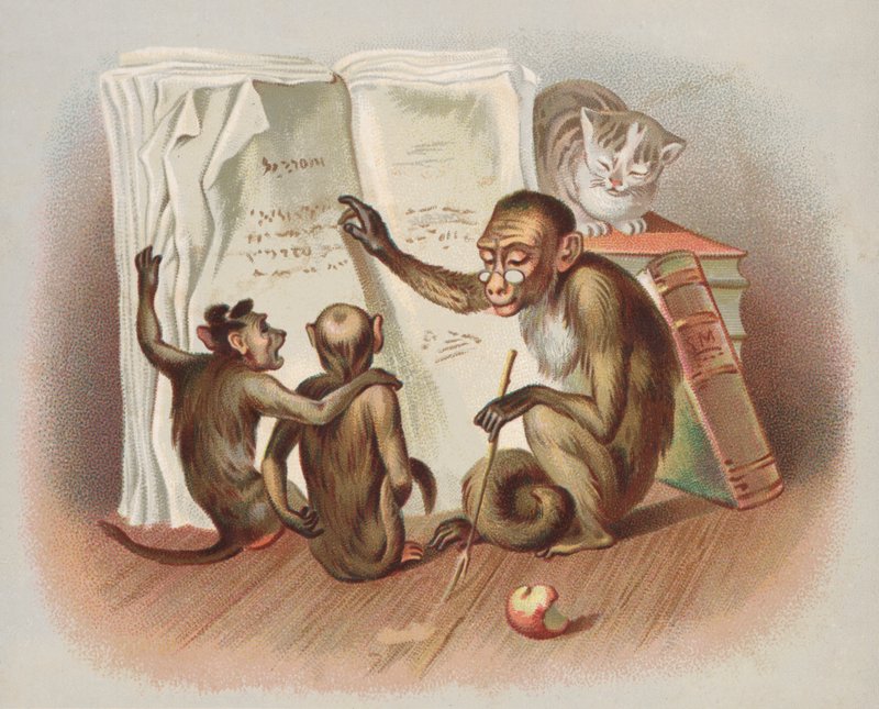 Affe beim Unterrichten (Chromolitho) von European School