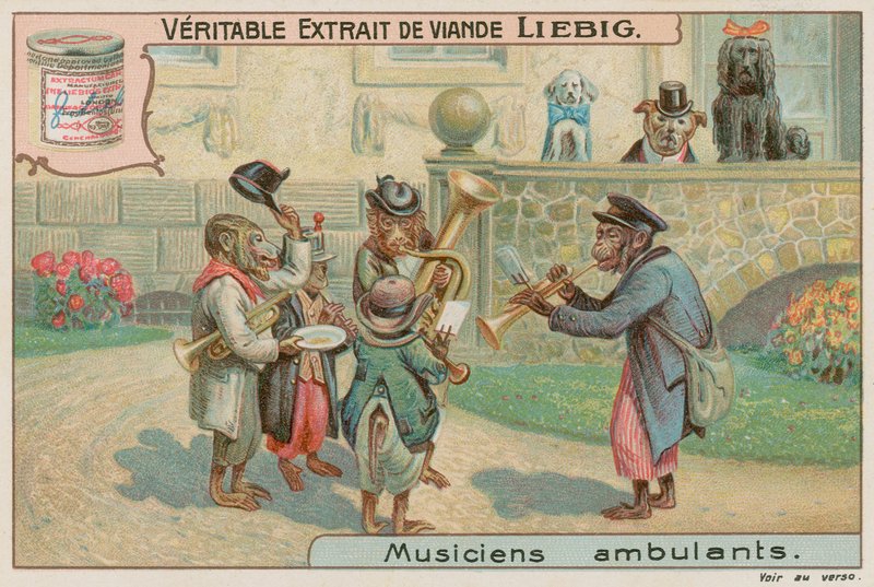 Affen in einer Band von European School
