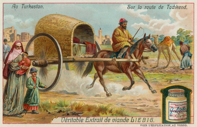 Auf dem Weg nach Taschkent in Usbekistan von European School