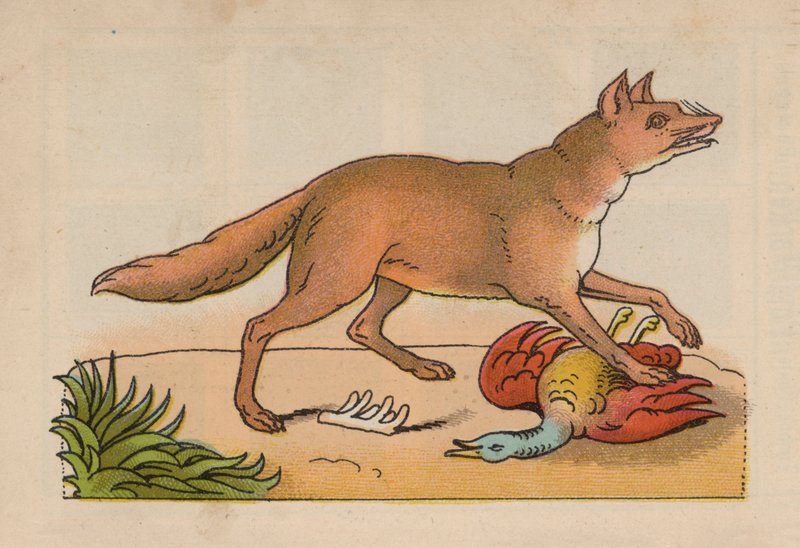 Seite aus dem magischen Buch (Farblitho) von European School