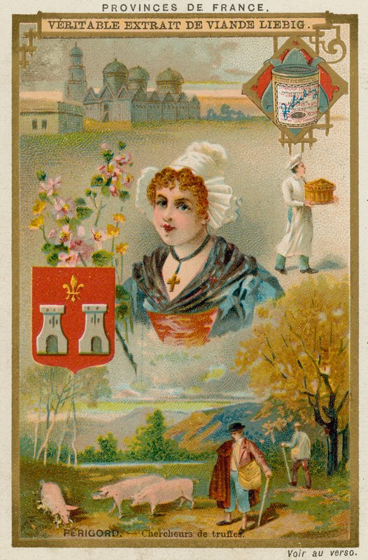 Perigord von European School