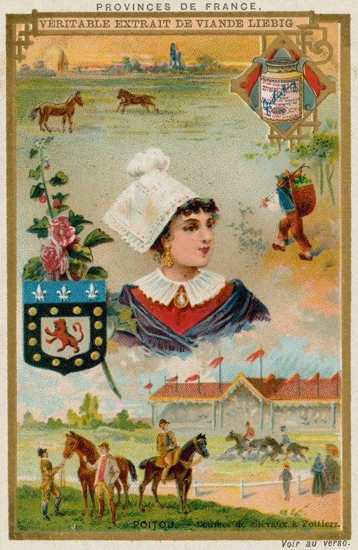 Poitou von European School
