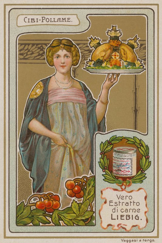 Geflügel von European School