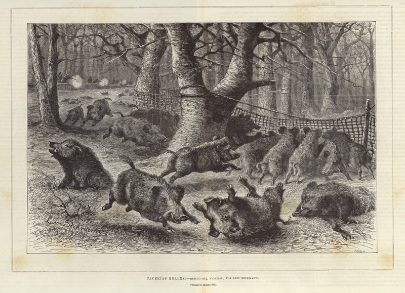 Königliche Jagd von European School