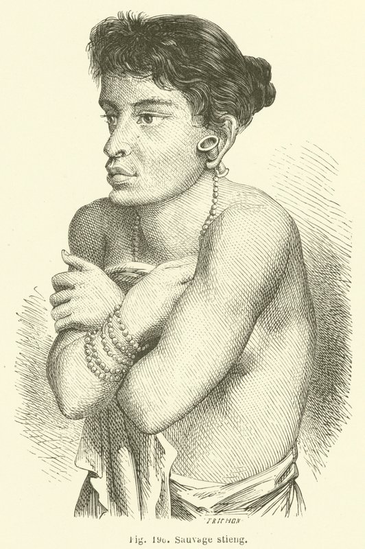 Wilder Stieng (Stich) von European School