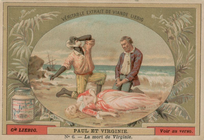 Der Tod von Virginie von European School