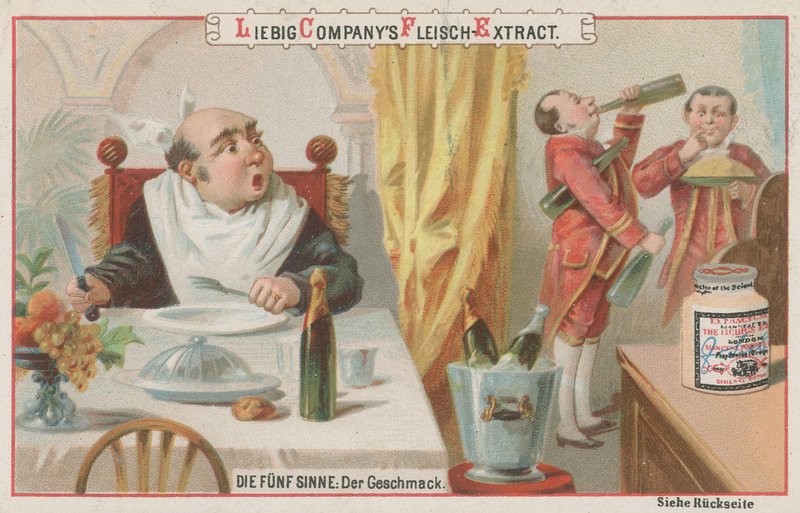 Die fünf Sinne: Schmecken von European School