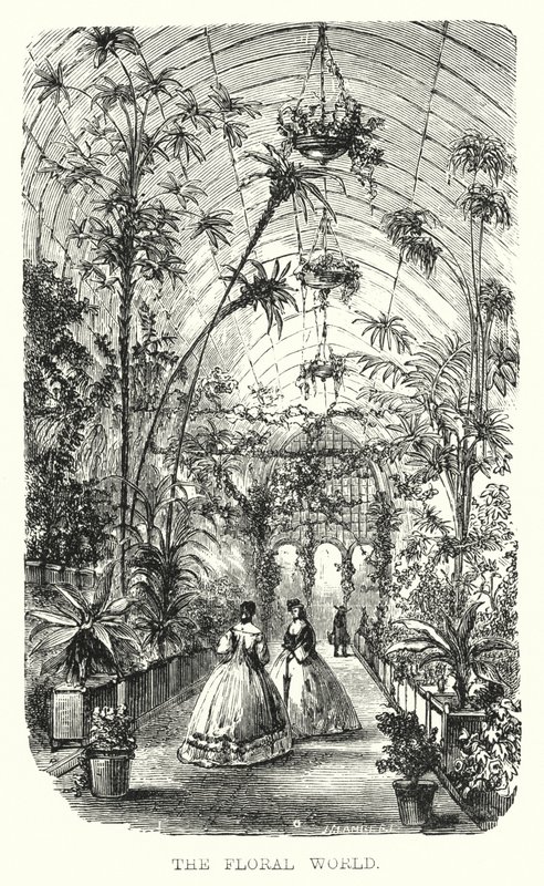 Die Blumenwelt von European School