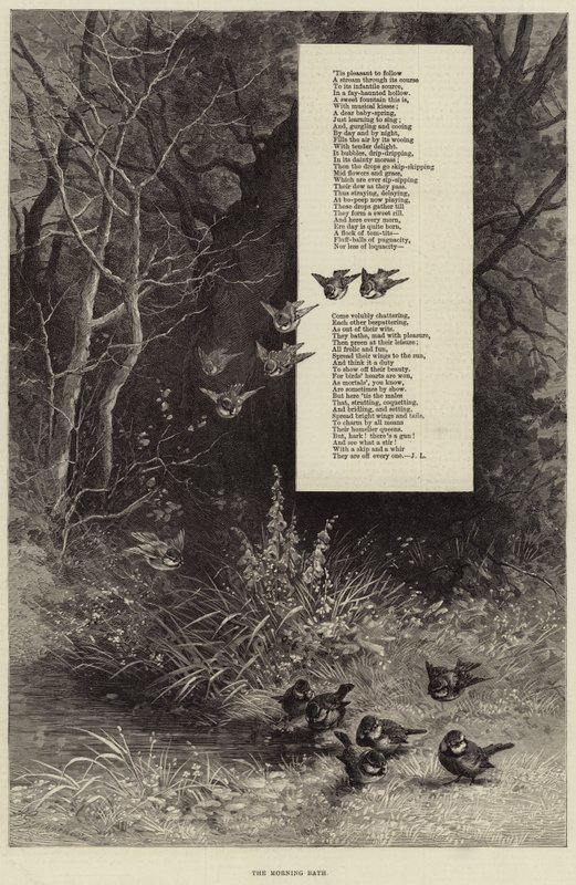 Das Morgenbad (Gravur) von European School