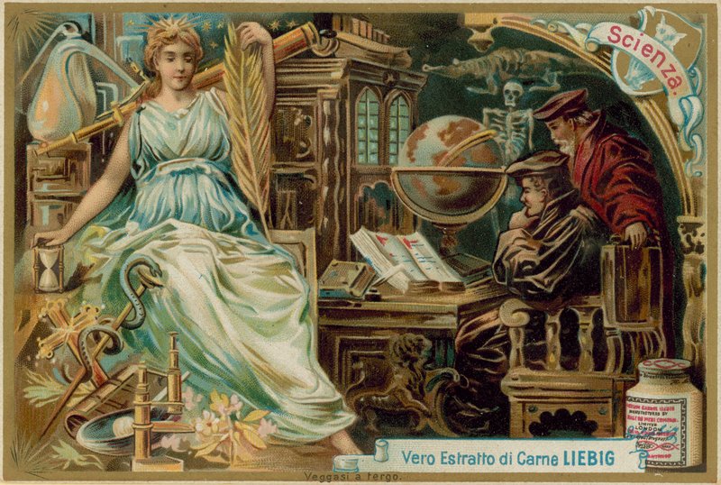 Die Wissenschaften von European School