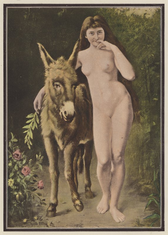 Der goldene Esel von European School