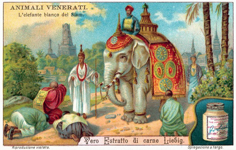Der weiße Elefant von Siam von European School