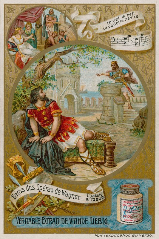 Tristan von European School