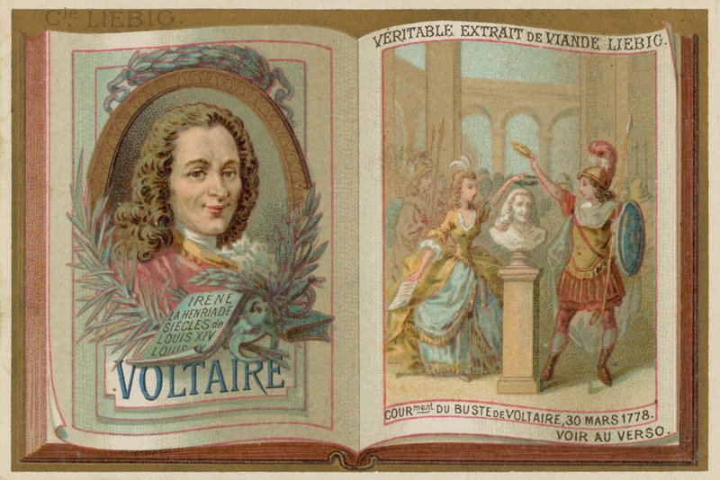 Voltaire von European School
