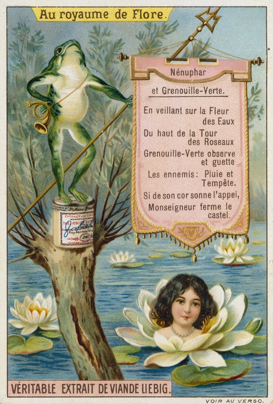 Seerose und Frosch von European School