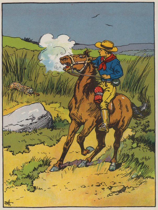 Verloren im Veldt von Evelyn Stuart Hardy