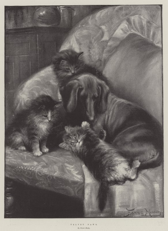 Samtpfoten von Fannie Moody